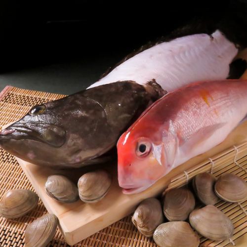 新鮮な選りすぐりの鮮魚