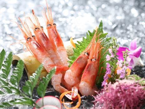 Wild red shrimp sashimi