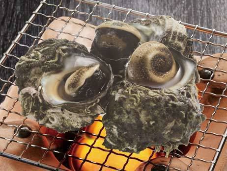 Grilled Sado Turban Shell (1 piece)