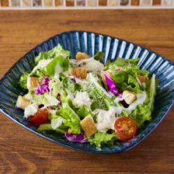 바질 시저 샐러드