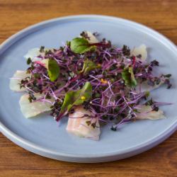 사카나의 카르 파치 오 ~ 밀감의 향기 ~