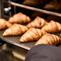 Freshly baked bread