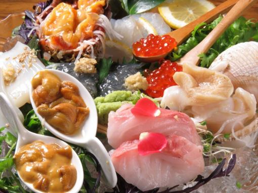 Shimaka's finest! Sashimi special♪ [Shimaka's Umi Gohan Banquet Course] 10,000 yen with 2 hours of all-you-can-drink