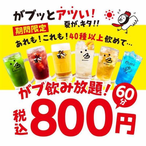 期間限定！飲み放題800円