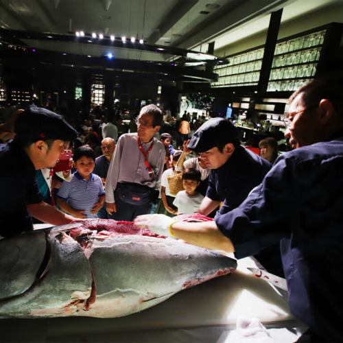 マグロ解体ショー