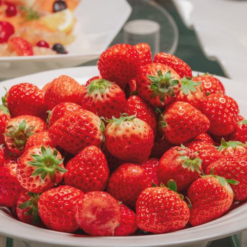 写真を撮りたくなる可愛さ