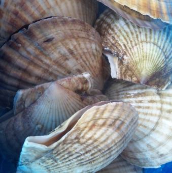活 ほたて貝