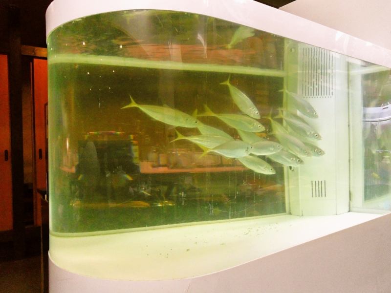 活魚店直営なので、いつも新鮮な魚介が揃っているのも自慢。水槽もある…食べちゃうのはかわいそう…？