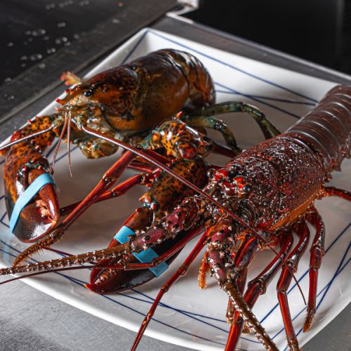 【龙虾套餐仅限2人、4人】炒龙虾、近江牛烤肉等共8道菜。