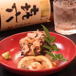 【直接來自養魚場】海螺殼