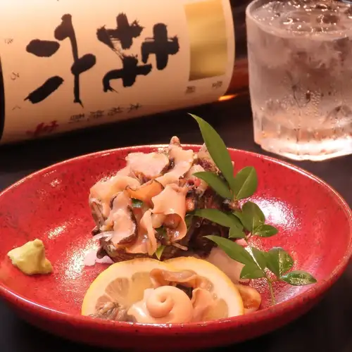 【直接来自养鱼场】海螺壳