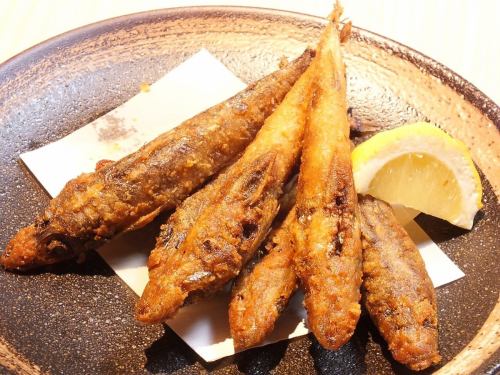 Fried Mexican calamari