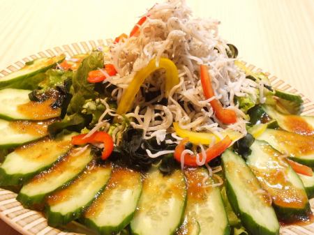 shirasu 和裙带菜海藻的健康沙拉