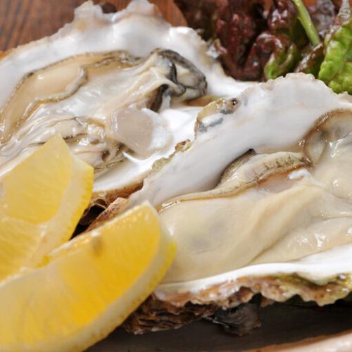 生蚝