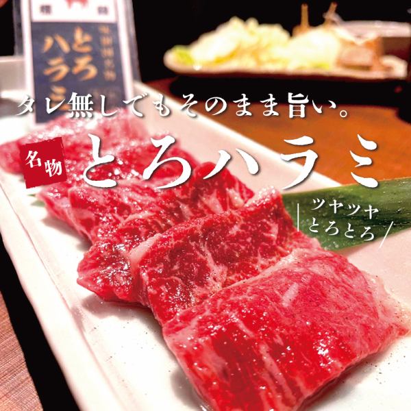Ajijuen original method Toro skirt steak