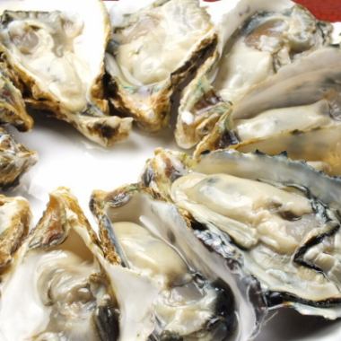 特大份【3小時無限量暢吃】生蠔、烤牡蠣和牡蠣飯無限量暢吃「發燒套餐」⇒6道菜共6,900日圓(含稅)