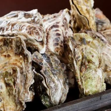 超大份量【3小時無限暢吃暢飲】盡享飽滿多汁的烤生蠔! 「生蠔小屋套餐」5道菜,共6,800日圓(含稅)