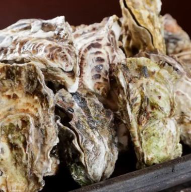 超大份量【3小時無限暢吃暢飲】盡享飽滿多汁的烤生蠔! 「生蠔小屋套餐」5道菜,共6,800日圓(含稅)