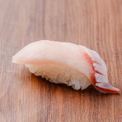 Yellowtail Belly