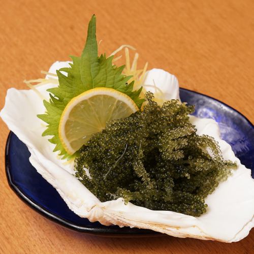 海ぶどう