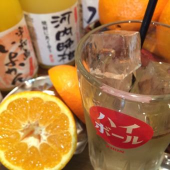 [Only for customers after 9pm] 90-minute all-you-can-drink for 1,200 yen (tax included) *Must order at least one item per person