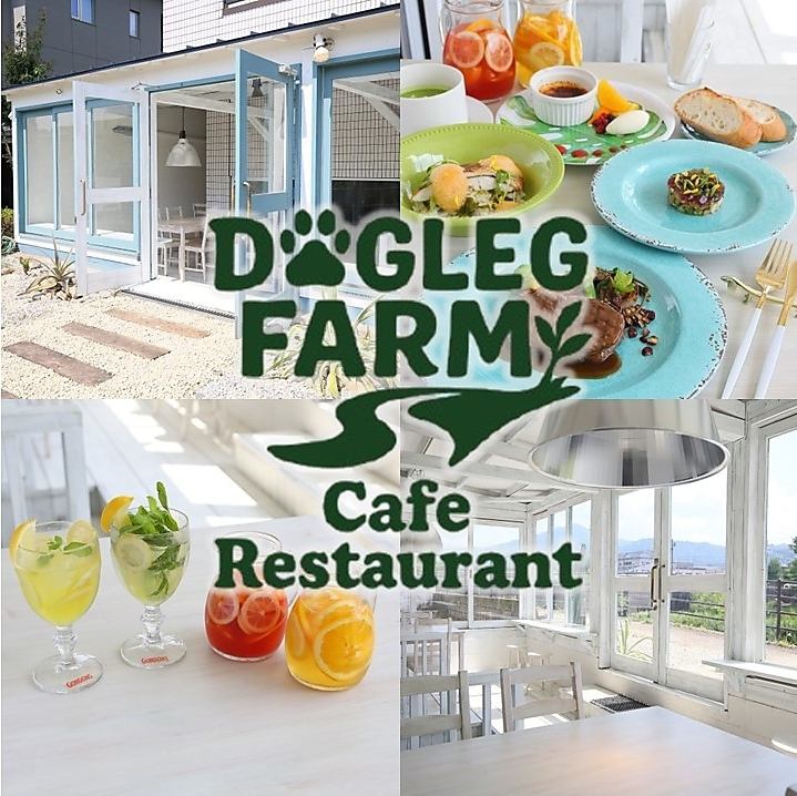 大原野菜を使用した料理をご堪能。お洒落な空間でごゆっくりとお寛ぎいただけます。