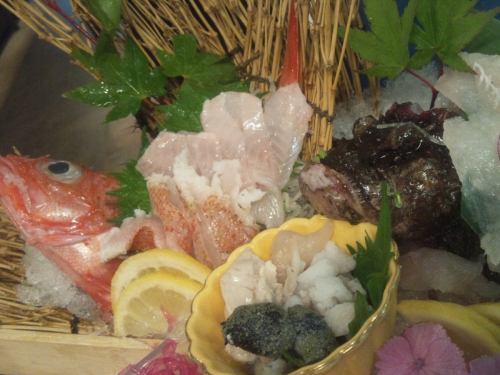 本日のお刺身ミニ四種盛(2～3人前)