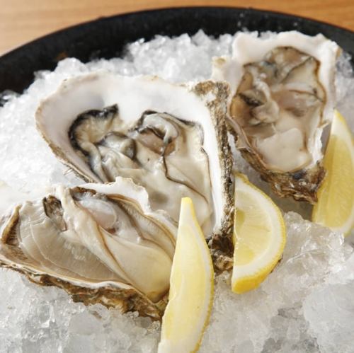 Hokkaido Akkeshi brand oyster "Maruemon"