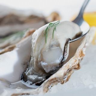 홋카이도의 식재료가 풍부.생굴, 생선, 성게, 이쿠라, 해물 해산물 외에도 지비에 에조 사슴, 소, 돼지, 닭도 홋카이도!