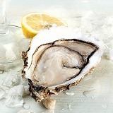 日替わり牡蠣【生】【焼き】【蒸し】
