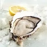 日替わり牡蠣【生】【焼き】【蒸し】
