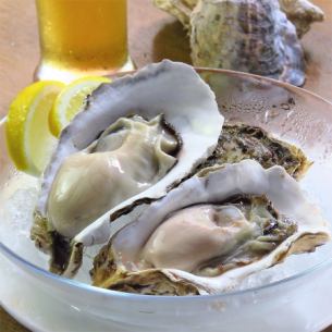 Steamed oysters 2p + premol raw or sparkling set