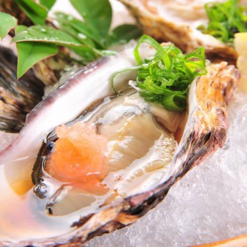 Enjoy fresh oysters sourced from all over Japan in season, either raw or steamed!