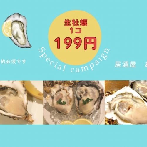 6月は,美味しい生牡蠣が199円(1個)で、何個でも食べられる席予約のキャンペーン!!  (クーポンで前日予約)