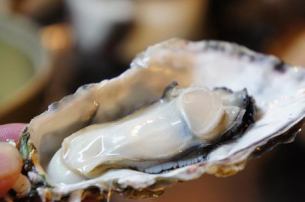 1 只生牡蠣 + 優質麥芽生啤酒或起泡啤酒套裝