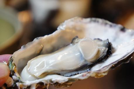 1 raw oyster + Premium Malt draft beer or sparkling beer set