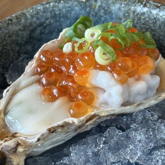 【12月】忘年会!!「満足度200%の3h飲放付 *悪魔の生牡蠣*が入った!松コース」全9品　6000円