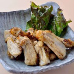 몸이 붙은 야겐 연골탄 불구이