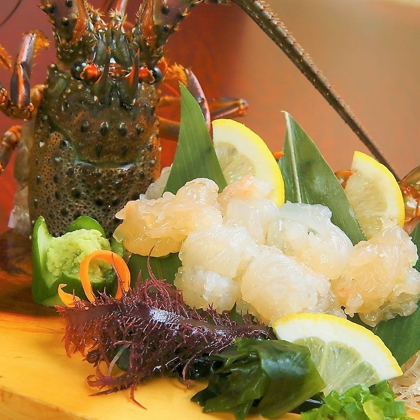 高知屋的魚的新鮮度不一樣！伊勢龍蝦和鮮魚很適合下酒。