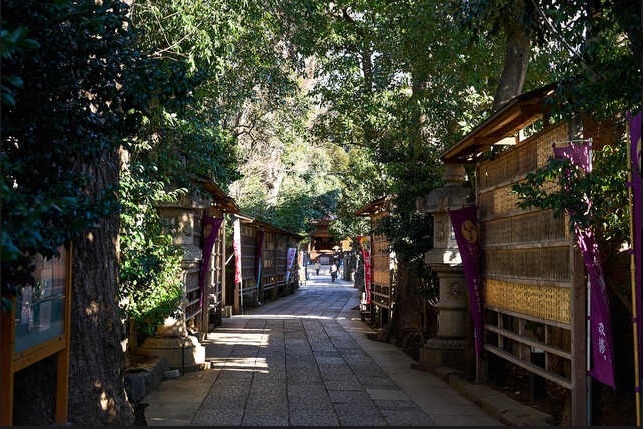 [Sacred Atmosphere] A space with a sacred atmosphere that can only be experienced at a shrine.Enjoy an extraordinary time away from the hustle and bustle of the city.