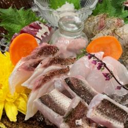 天然 お造り盛り合わせ 富山湾直送