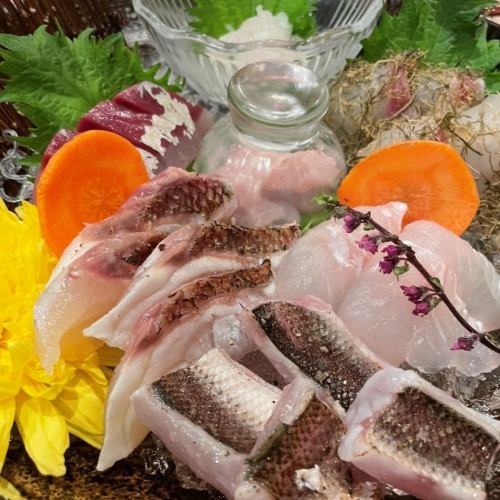 天然 お造り盛り合わせ 富山湾直送