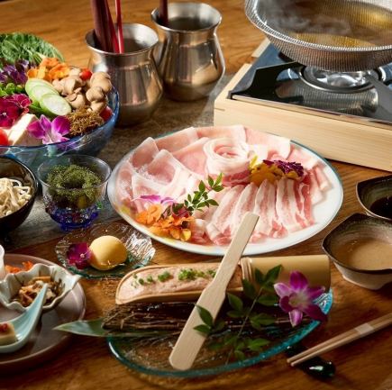 【WEB予約限定】＜17時～18時来店・料理のみ＞金アグーしゃぶしゃぶコース全5品 5,500円