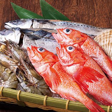 旬の鮮魚を堪能