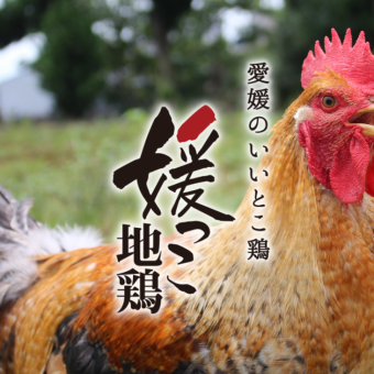 2時間飲み放題付！【自家農家媛っこ地鶏堪能コース…5000円】