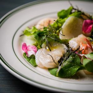 Today's fresh fish and scallop carpaccio