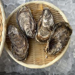 三重県産岩牡蠣