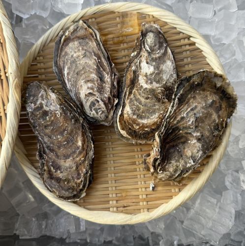 三重県産岩牡蠣
