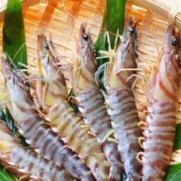 【已售罄】新年冲绳虎虾牛排套餐（约200克）【8道菜+畅饮】¥11,000 → ¥8,000