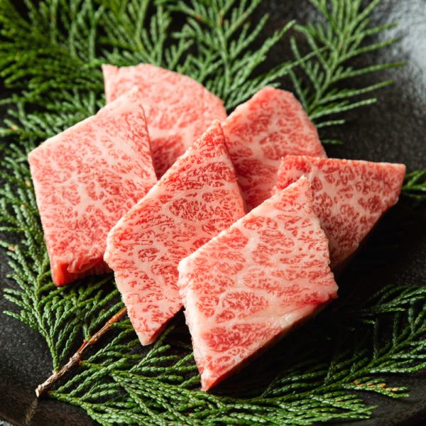 きめ細かいサシが魅力！濃厚な美味しさ「飛騨牛 本日の霜降り厳選部位」